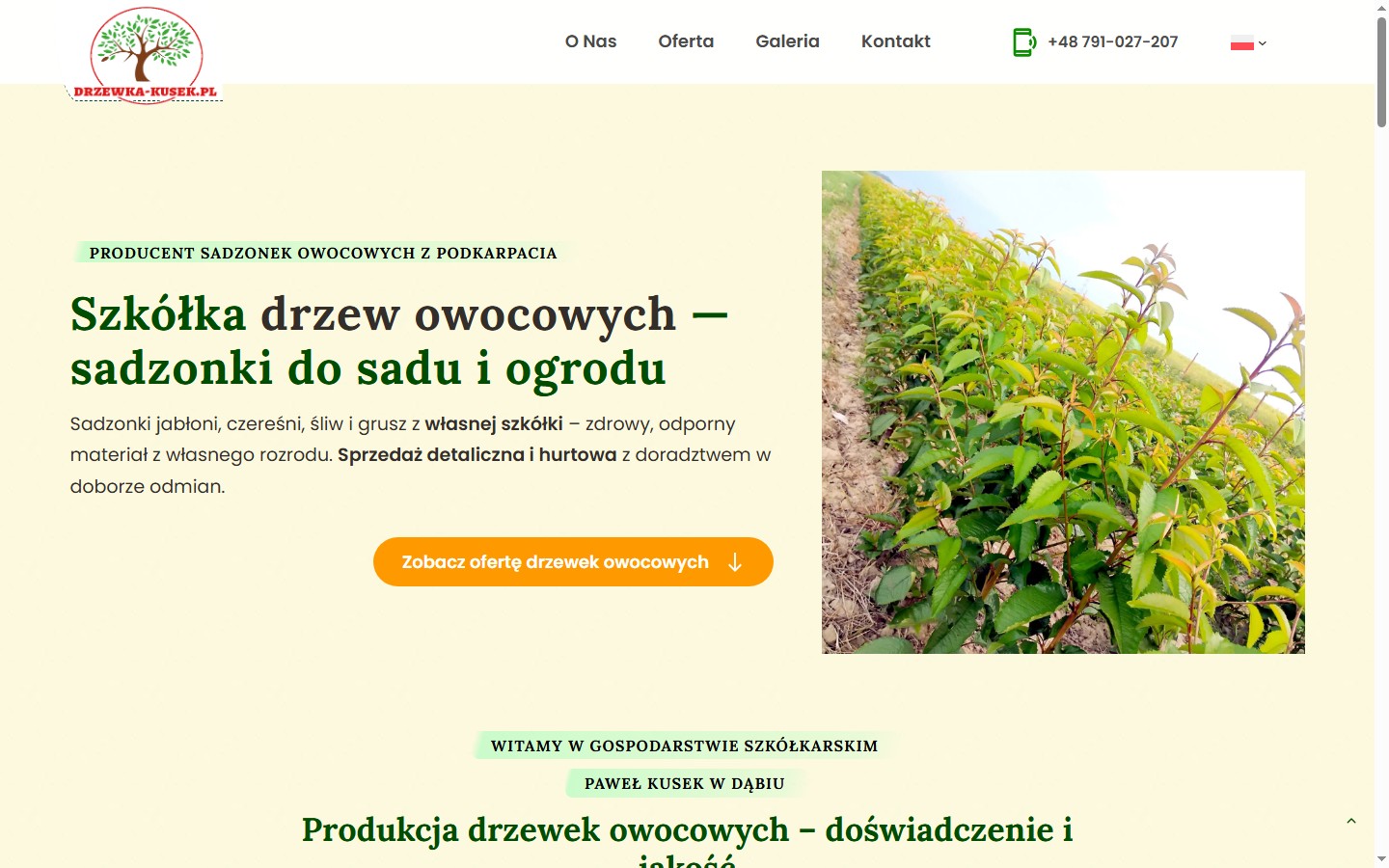 Drzewka Kusek
